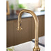 7770EWBZG Kitchen/Kitchen Faucets/Pull Down Spray Faucets