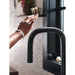 S74001BL Kitchen/Kitchen Faucets/Pull Down Spray Faucets
