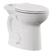 3517T101.020 Parts & Maintenance/Toilet Parts/Toilet Bowls Only