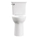 3517T101.020 Parts & Maintenance/Toilet Parts/Toilet Bowls Only