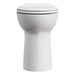 3517T101.020 Parts & Maintenance/Toilet Parts/Toilet Bowls Only