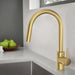 32665GN3 Kitchen/Kitchen Faucets/Pull Down Spray Faucets