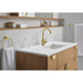32138GN2 Bathroom/Bathroom Sink Faucets/Single Hole Sink Faucets