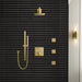 26845GN0 Bathroom/Bathroom Tub & Shower Faucets/Body Sprays