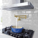 31075GN2 Kitchen/Kitchen Faucets/Pot Filler Faucets