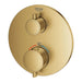 24133GN0 Bathroom/Bathroom Tub & Shower Faucets/Shower Only Faucet Trim