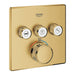 29142GN0 Bathroom/Bathroom Tub & Shower Faucets/Shower Only Faucet Trim