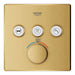 29142GN0 Bathroom/Bathroom Tub & Shower Faucets/Shower Only Faucet Trim