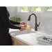 9979TL-RB-DST Kitchen/Kitchen Faucets/Bar & Prep Faucets