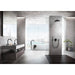 268662430 Bathroom/Bathroom Tub & Shower Faucets/Handshowers