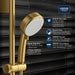 260462432 Bathroom/Bathroom Tub & Shower Faucets/Handshowers