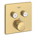 29141GN0 Bathroom/Bathroom Tub & Shower Faucets/Shower Only Faucet Trim