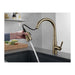 9113-CZ-DST Kitchen/Kitchen Faucets/Pull Down Spray Faucets