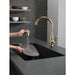 9113T-CZ-DST Kitchen/Kitchen Faucets/Pull Down Spray Faucets