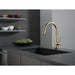 9113T-CZ-DST Kitchen/Kitchen Faucets/Pull Down Spray Faucets