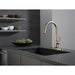 9113T-CZ-DST Kitchen/Kitchen Faucets/Pull Down Spray Faucets