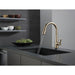 9113T-CZ-DST Kitchen/Kitchen Faucets/Pull Down Spray Faucets