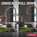 9659TL-AR-DST Kitchen/Kitchen Faucets/Pull Down Spray Faucets