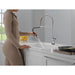 9659TL-DST Kitchen/Kitchen Faucets/Pull Down Spray Faucets