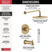 T14469-CZ-PP Bathroom/Bathroom Tub & Shower Faucets/Tub & Shower Faucet Trim