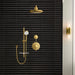 26409GN0 Bathroom/Bathroom Tub & Shower Faucets/Showerheads