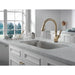 9113TV-CZ-DST Kitchen/Kitchen Faucets/Pull Down Spray Faucets