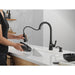 19893Z-BLSD-DST Kitchen/Kitchen Faucets/Pull Down Spray Faucets