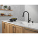 19893Z-BLSD-DST Kitchen/Kitchen Faucets/Pull Down Spray Faucets