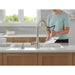 19893Z-SPSD-DST Kitchen/Kitchen Faucets/Pull Down Spray Faucets