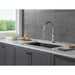 9179TL-AR-DST Kitchen/Kitchen Faucets/Pull Down Spray Faucets