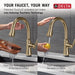 9179TL-CZ-DST Kitchen/Kitchen Faucets/Pull Down Spray Faucets