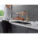 9179TL-CZ-DST Kitchen/Kitchen Faucets/Pull Down Spray Faucets
