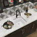ELX1616FX0 Kitchen/Kitchen Sinks/Undermount Kitchen Sinks