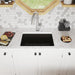 ELXU2522DN0 Kitchen/Kitchen Sinks/Undermount Kitchen Sinks