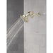 5SF100-PN Bathroom/Bathroom Tub & Shower Faucets/Handshower Outlets & Adapters