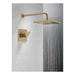 T14268-CZ-PP Bathroom/Bathroom Tub & Shower Faucets/Shower Only Faucet Trim