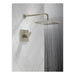 T14268-SP-PP Bathroom/Bathroom Tub & Shower Faucets/Shower Only Faucet Trim