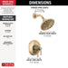 T17284-CZ-PR Bathroom/Bathroom Tub & Shower Faucets/Shower Only Faucet Trim