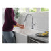 9179TL-DST Kitchen/Kitchen Faucets/Pull Down Spray Faucets