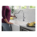 9179TL-DST Kitchen/Kitchen Faucets/Pull Down Spray Faucets