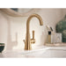 64430BZG Bathroom/Bathroom Sink Faucets/Single Hole Sink Faucets