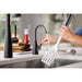 FH1010MBLK Kitchen/Kitchen Faucets/Hot & Drinking Water Dispensers