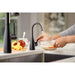 FH1010MBLK Kitchen/Kitchen Faucets/Hot & Drinking Water Dispensers
