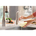 FH1010SS Kitchen/Kitchen Faucets/Hot & Drinking Water Dispensers