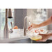 FH1010SS Kitchen/Kitchen Faucets/Hot & Drinking Water Dispensers
