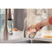 FH1010SS Kitchen/Kitchen Faucets/Hot & Drinking Water Dispensers