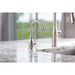 FH2010SS Kitchen/Kitchen Faucets/Hot & Drinking Water Dispensers