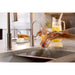 FH3010AS Kitchen/Kitchen Faucets/Hot & Drinking Water Dispensers