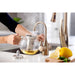 FHC1010BB Kitchen/Kitchen Faucets/Hot & Drinking Water Dispensers