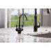 FHC2010CRB Kitchen/Kitchen Faucets/Hot & Drinking Water Dispensers